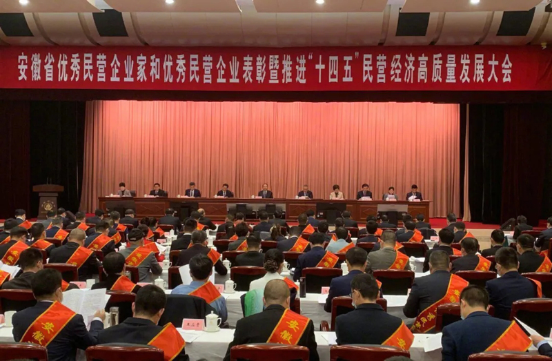 喜讯！旋乐吧科技总经理梁燕被授予“安徽省优秀民营企业家”称号